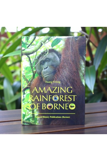 Book - Amazing Rainforest of Borneo Book - Amazing Rainforest of Borneo