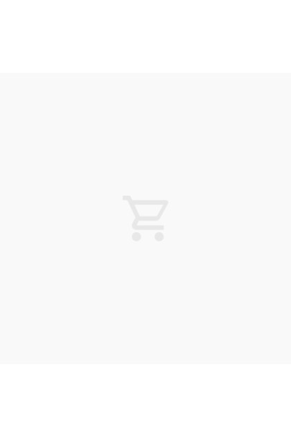 A Pocket Guide To Mammals of Borneo by Shavez Cheema